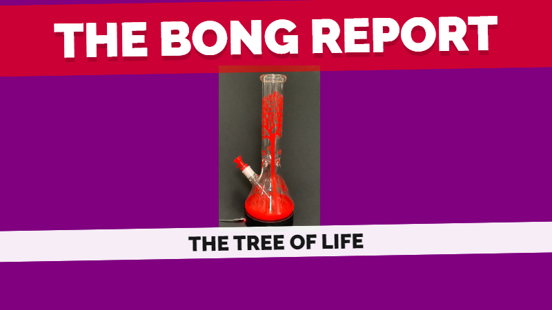 Elevate Your Smoking Experience: The Tree of Life Beaker Bong Glass Pipe